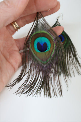 עגילי  נוצת טווס מעוצבים-OS